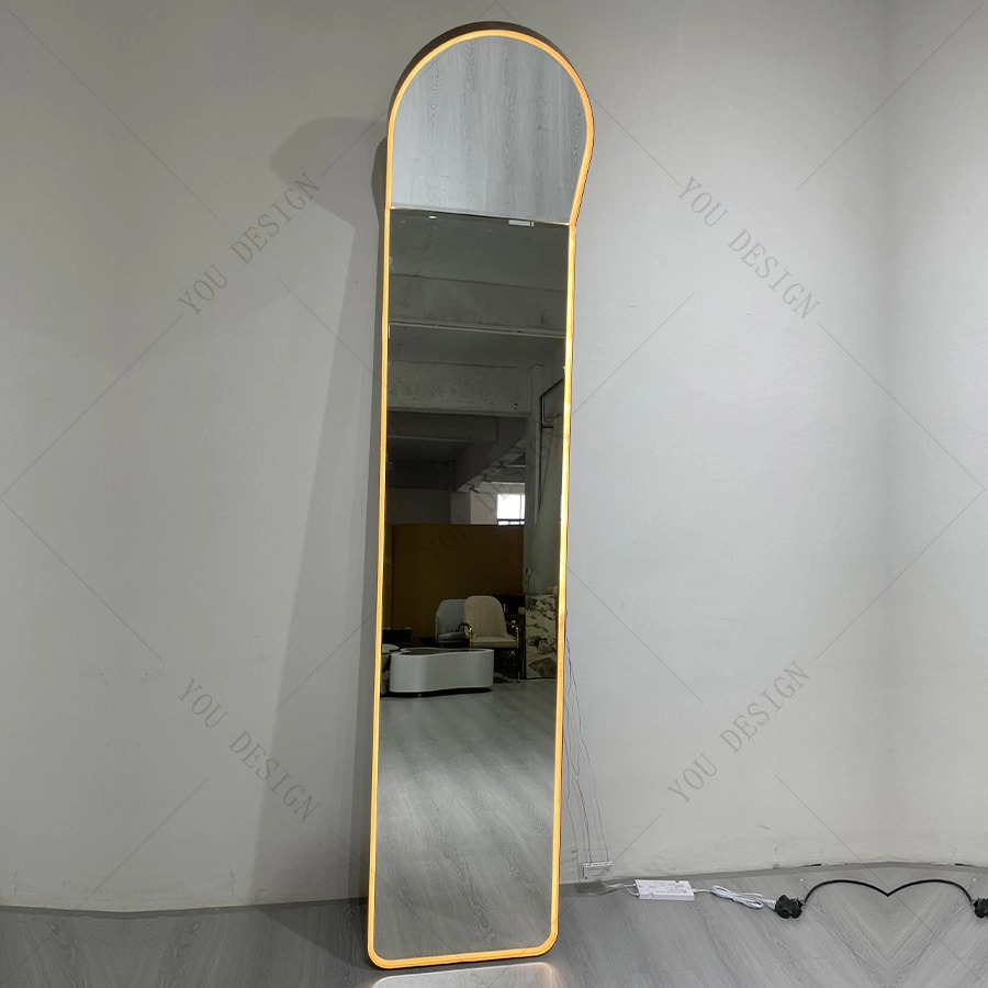 Modern Stainless Steel Frame Rectangular Mirror Bathroom LED Lights Glass Floor Mirror